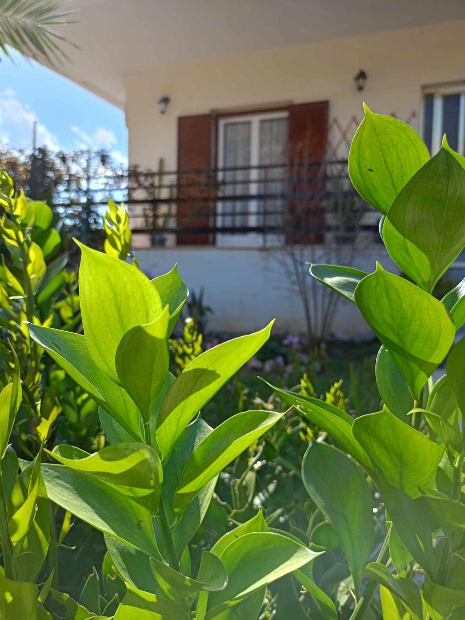Serene Country House Nafplio Luaran gambar